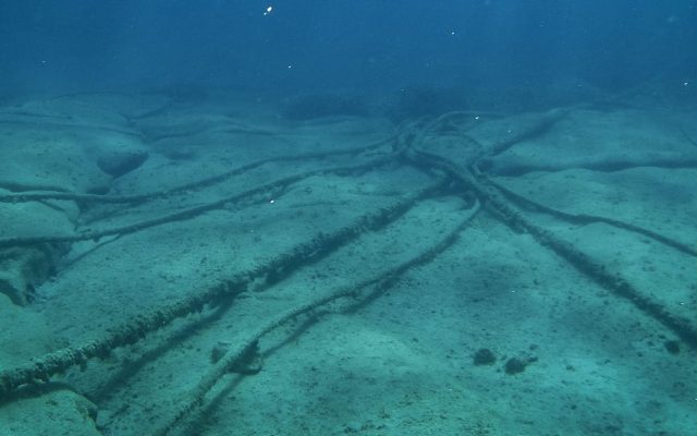 Submarine cable lying on the ocean floor